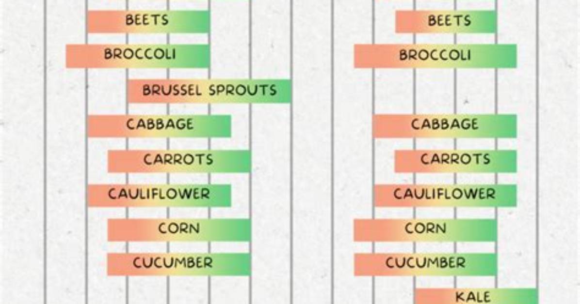 Optimal Slicing Cucumber Planting Calendar Key Windows for Early Spring
