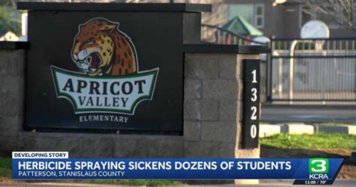 Outrage Erupts After Elementary Herbicide Spraying Sickens Dozens of Students In