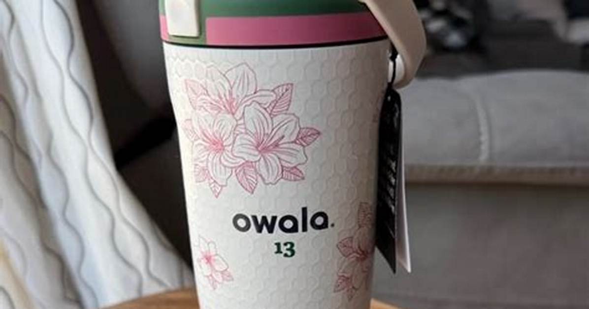Owala Freesip Azalea Complete Guide Sizing Features Cleaning And