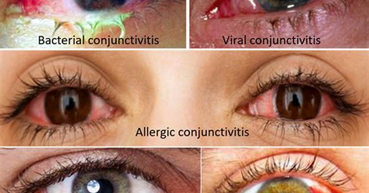 Real Photos vs Viral Hoaxes the Visual Context Behind Brittney Griner S