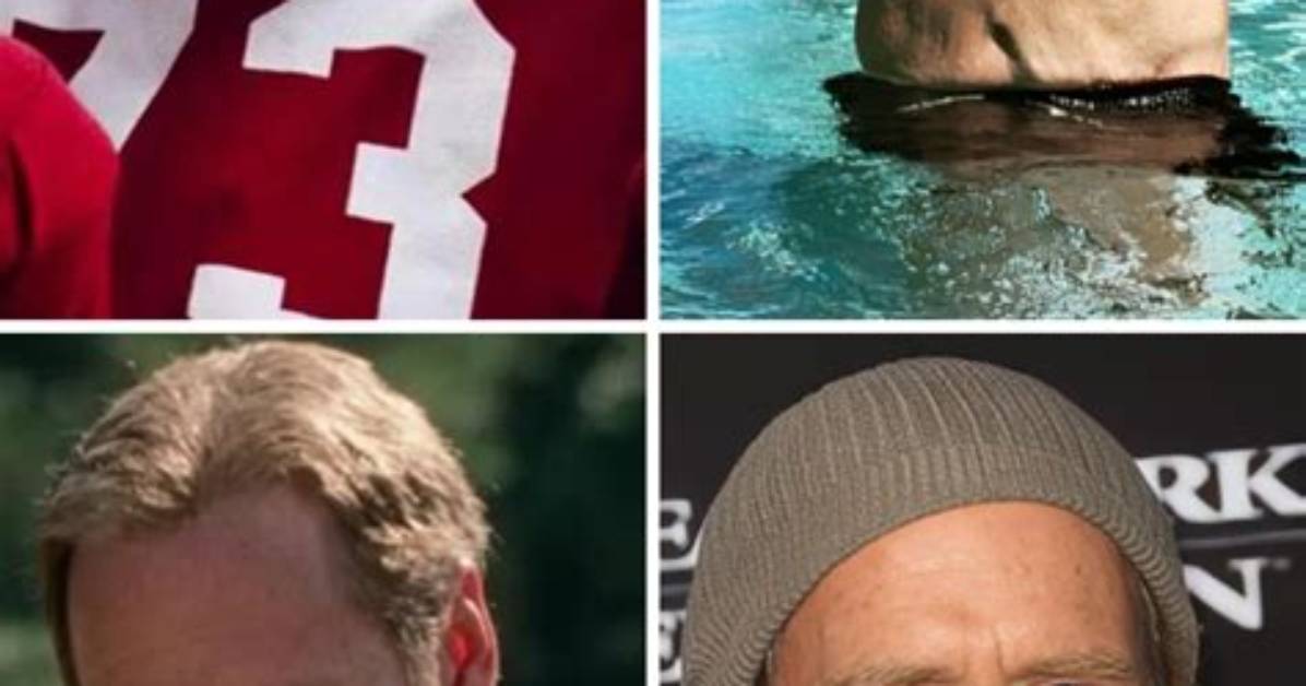 Remember the Titans Leading Ladies Then vs Now the Unseen Transformations of the Hit Drama S