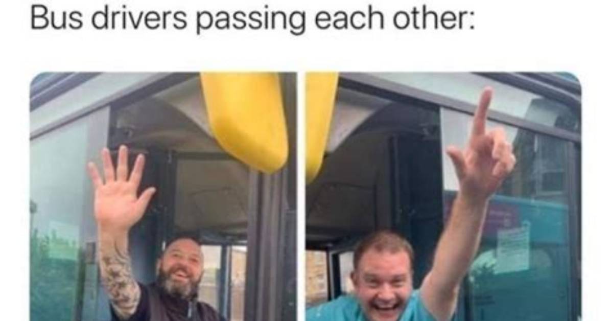 Rose Monroe Bus Trend Explained The