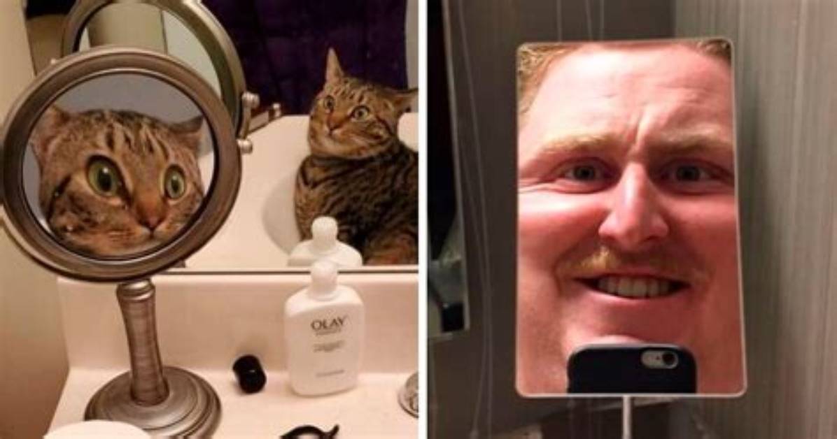 See the Funniest Hand to Mirror Memes That Broke Social