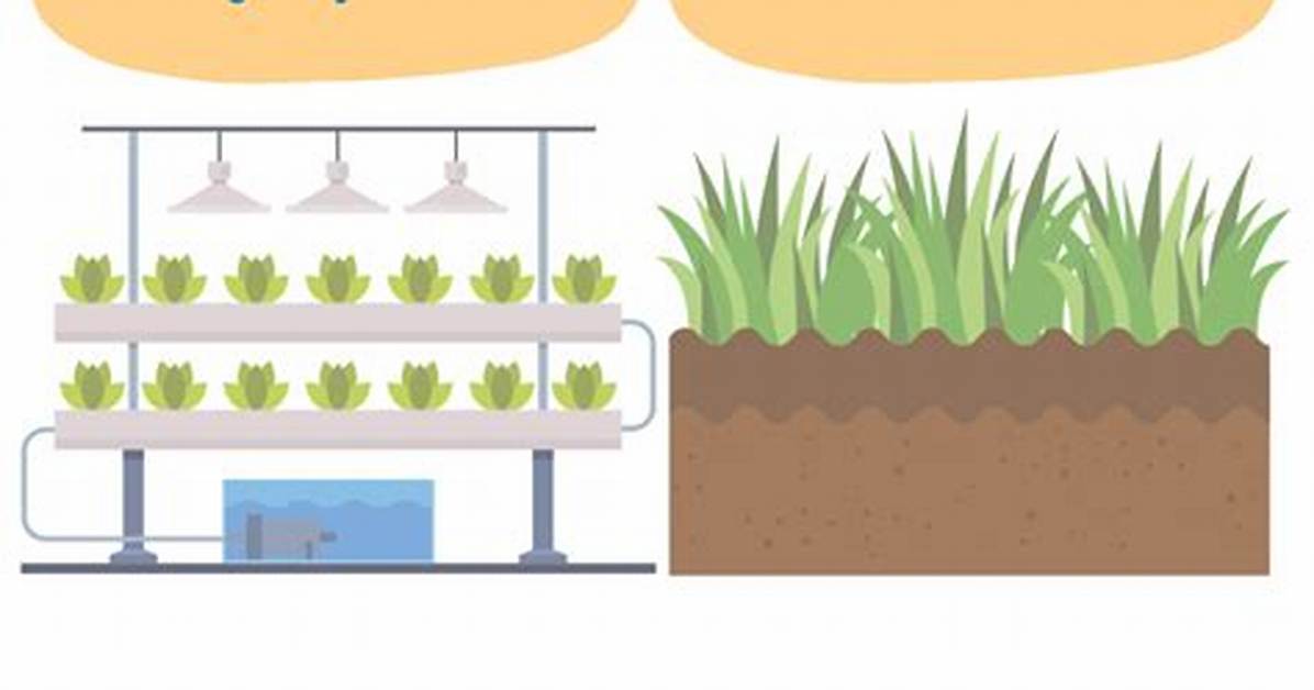 Soil vs Hydroponic Wheatgrass Which Method Delivers