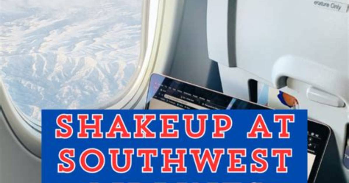 Southwest Florida Cafe Shakeup the Timeline Behind Seed and Bean S