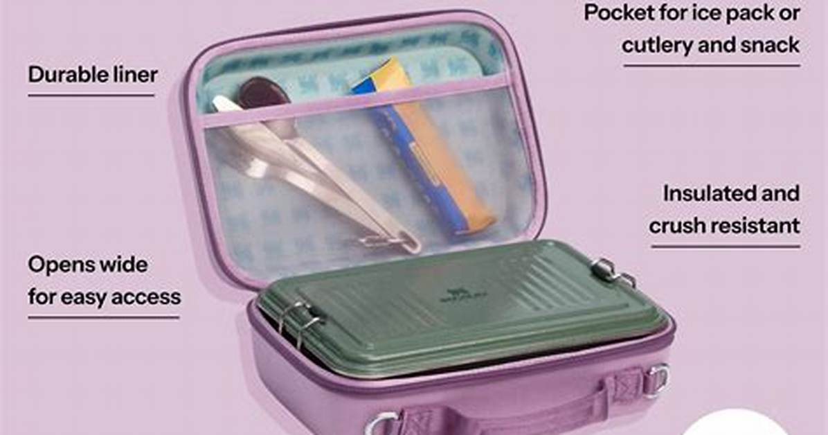 Stanley All Day Mini Lunch Box Guide Sizing Care And