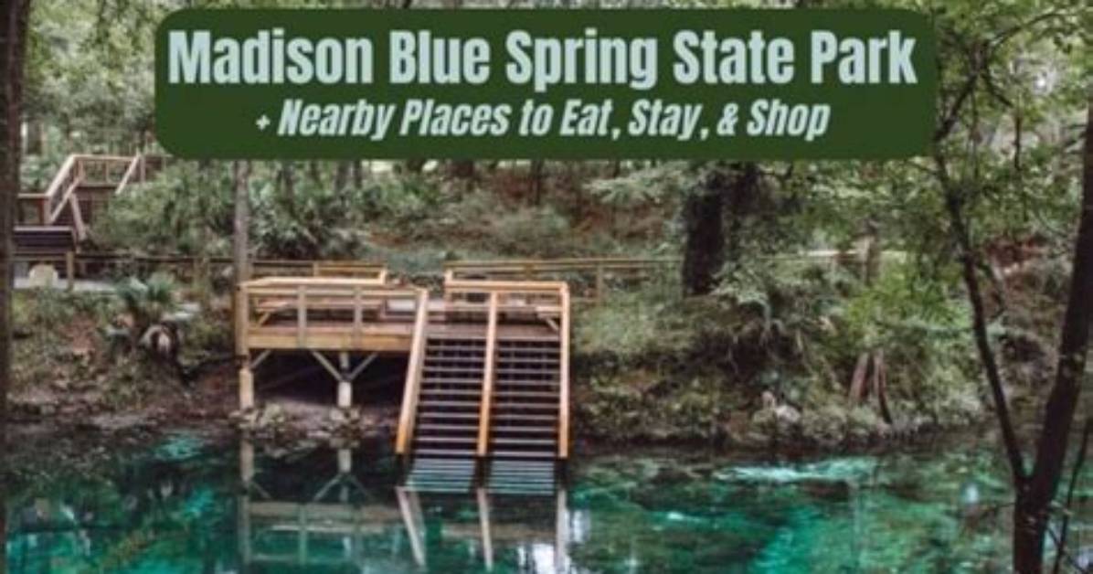 Summer Surge at Madison Blue Spring Rising Crowds Park Hours and Daily