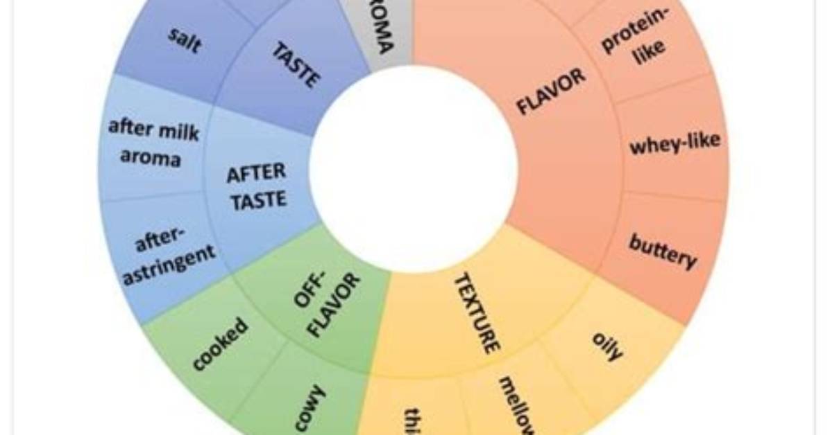 Texture vs Taste a Sensory Breakdown of Exactly How Okra