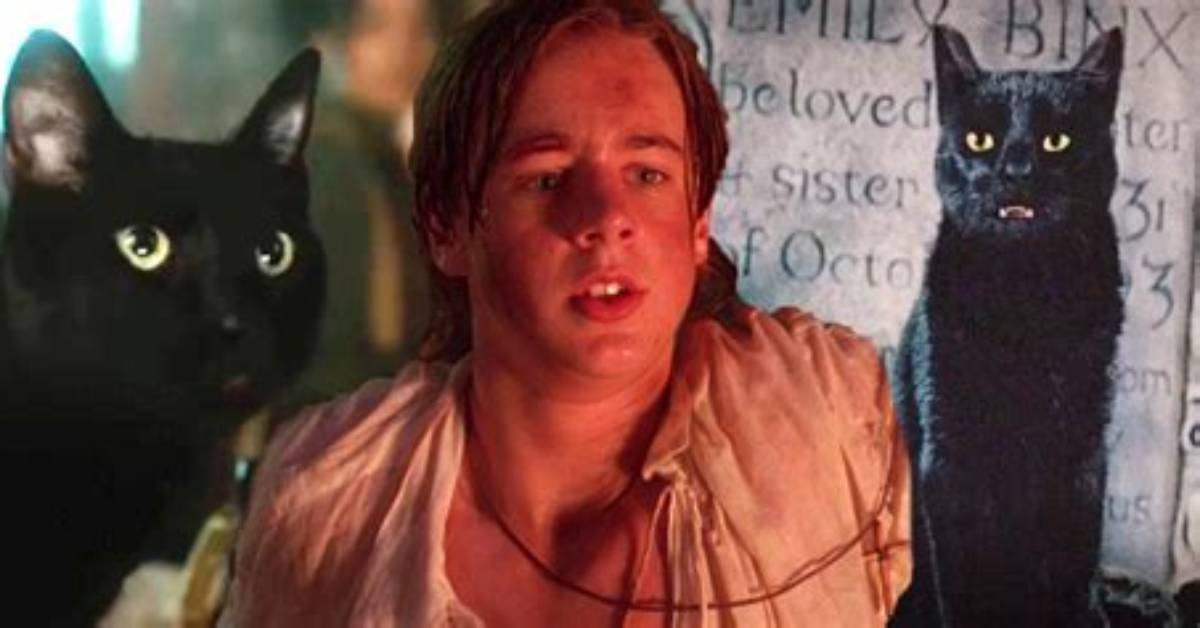 Thackery Binx vs Cobweb Visual Proof and Clues Fans