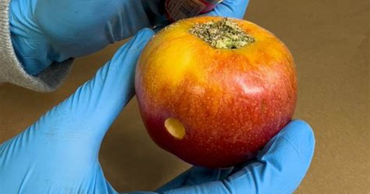 The 2 Minute Apple Pipe Hack Why Millions Are Ditching Glassware For