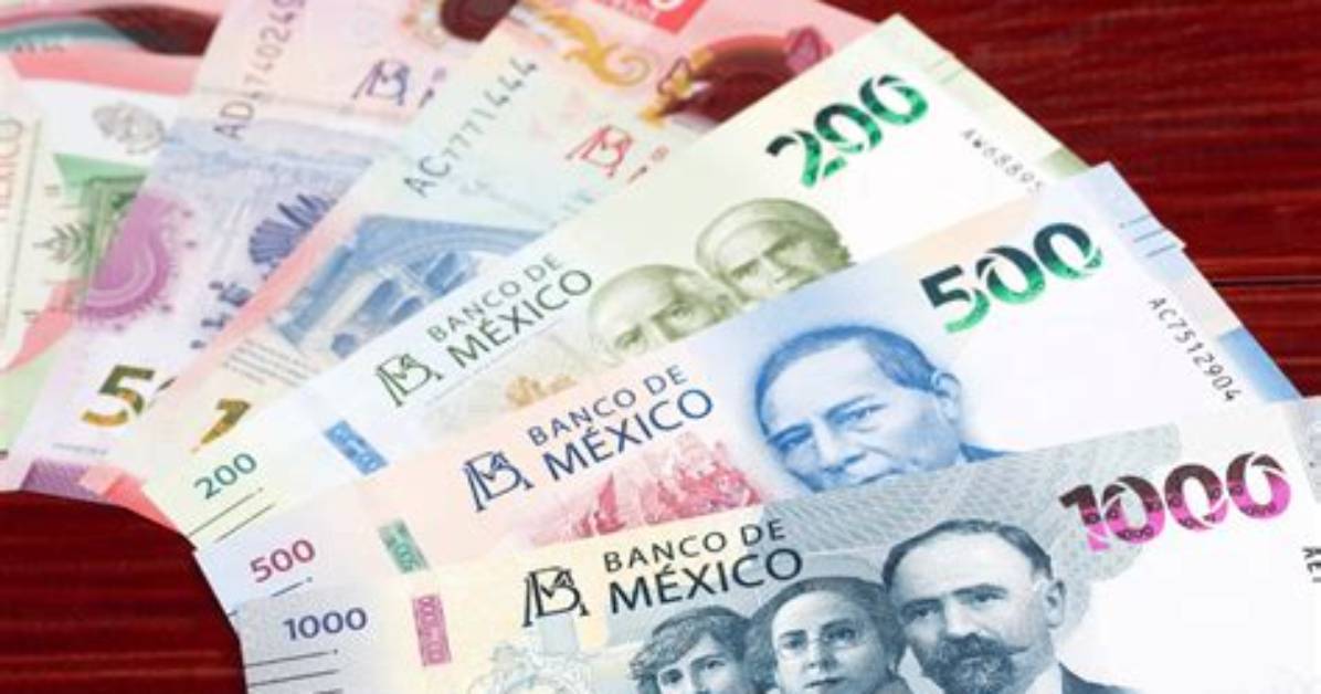 The 21 Peso Secret Why Mexico City S Legendary Suadero Stalls Draw