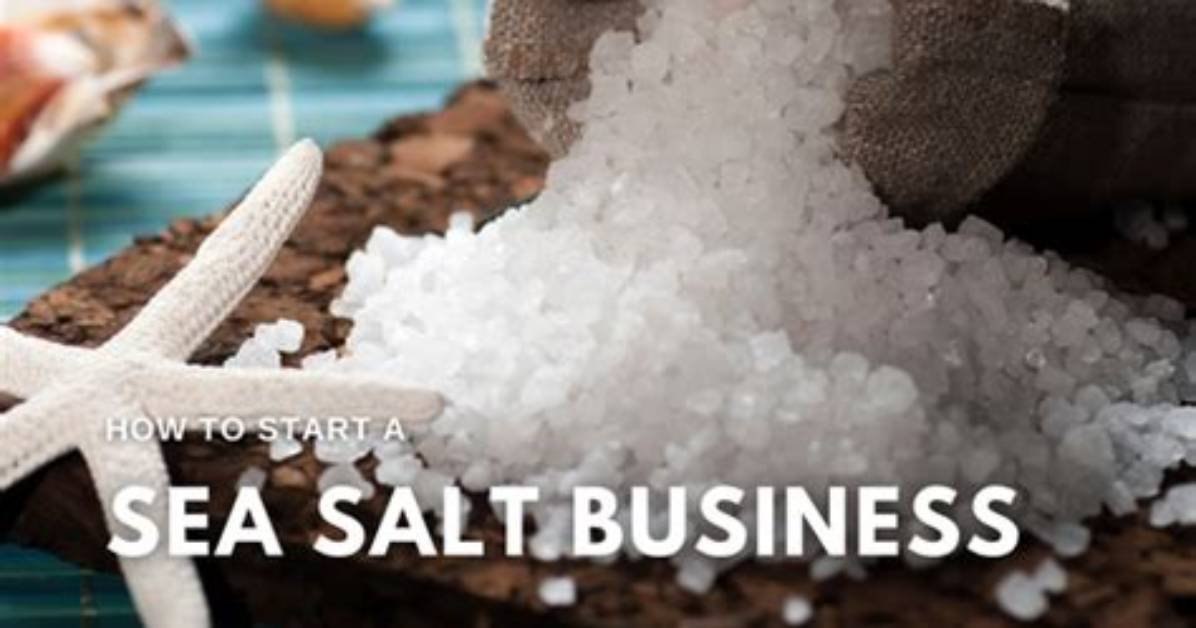 The Business of Simplicity How Sea Salt Eatery Built 20 Year S Of