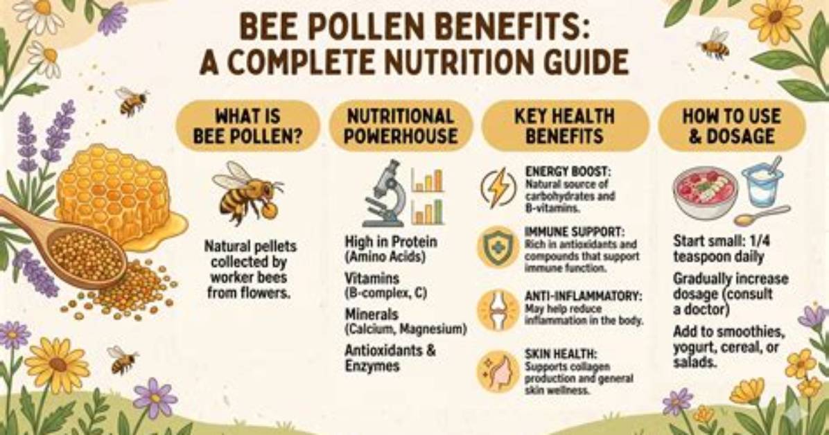The Complete Bee Skincare Guide Ingredients Benefits and Top