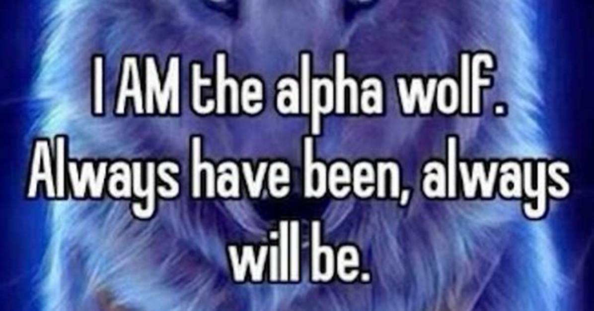The Complete Explainer on Alpha Wolf Memes Meaning Templates And