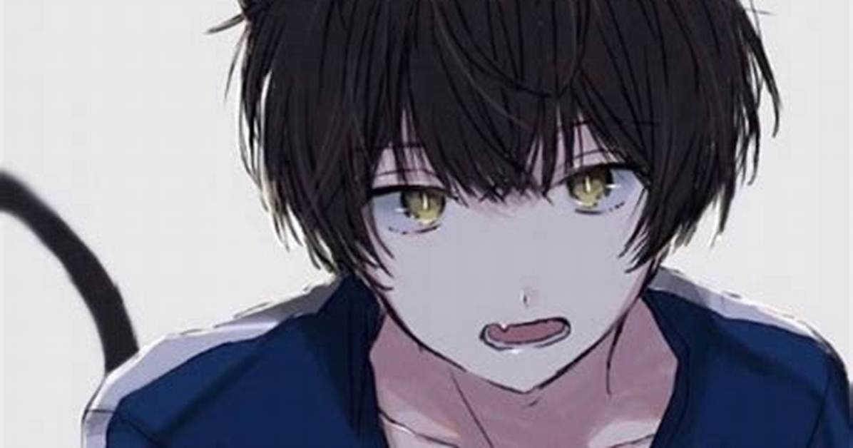 The Complete Guide to Catboys Irl Subculture Aesthetics And