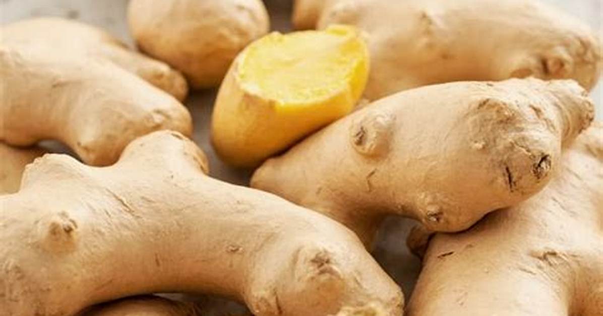 The Complete Guide to Ginger Girl Meaning Etiquette And