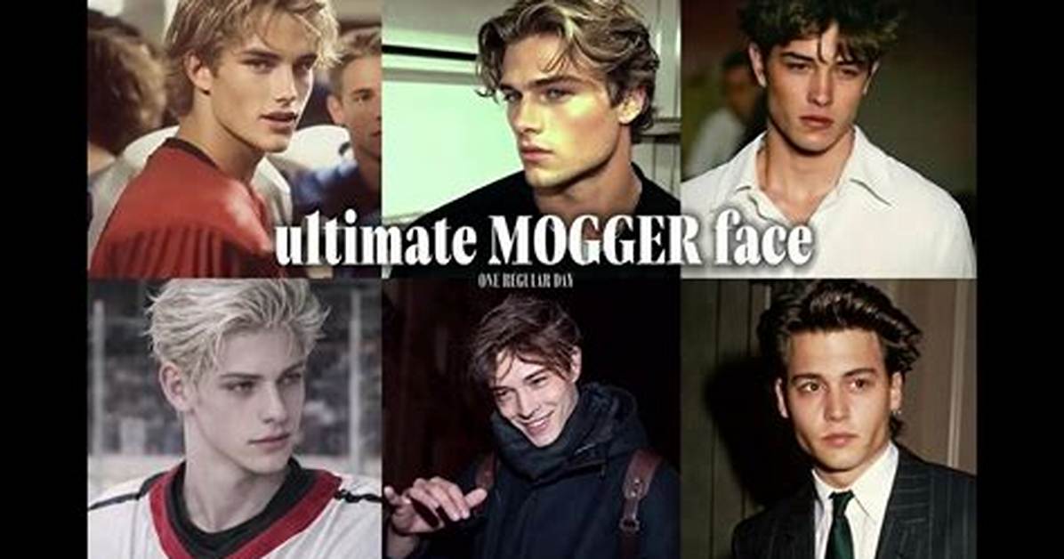 The Complete Guide to Girl Mogger Face Gakuran Terminology Lore And