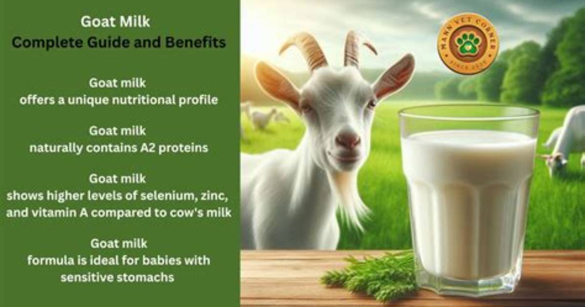 The Complete Guide to Goat Milk Body Wash Benefits Ingredients and Top
