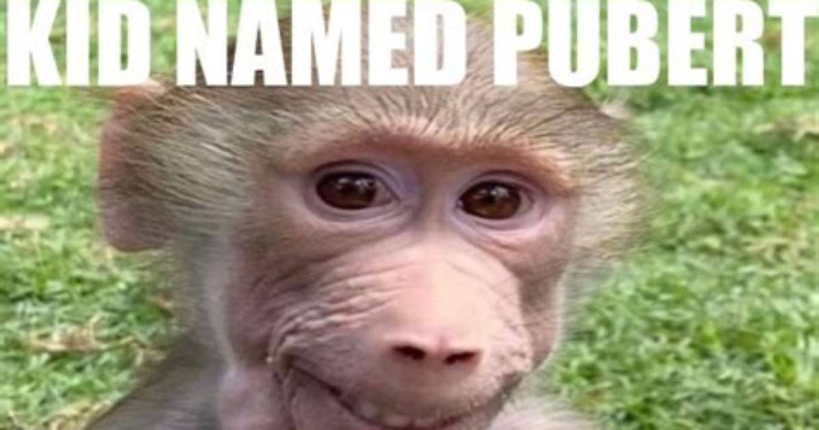 The Complete Guide to Kid Named Pubert
