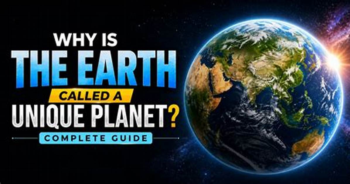 The Complete Guide to Postcard from Earth Best Seats Ticket Costs and What To