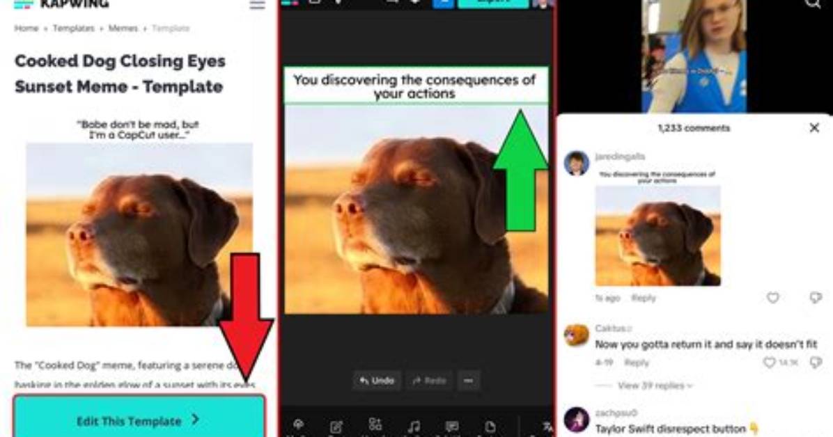 The Complete Guide to Tiktok Comment Memes Deciphering Every Viral