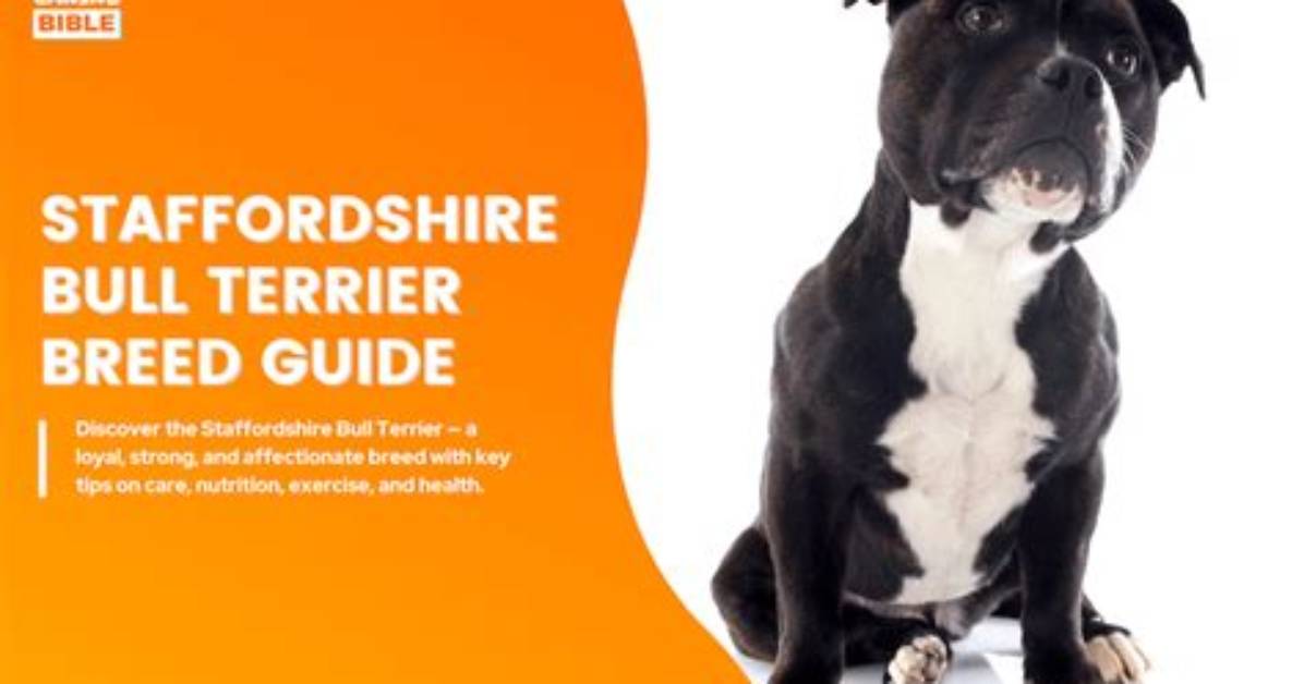 The Complete Staffordshire Bull Terrier Care Playbook Temperament Physical Health And