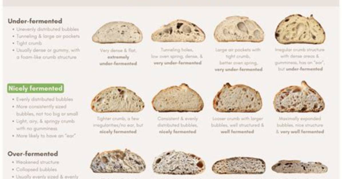 The Crumb Test Inside the Perfect