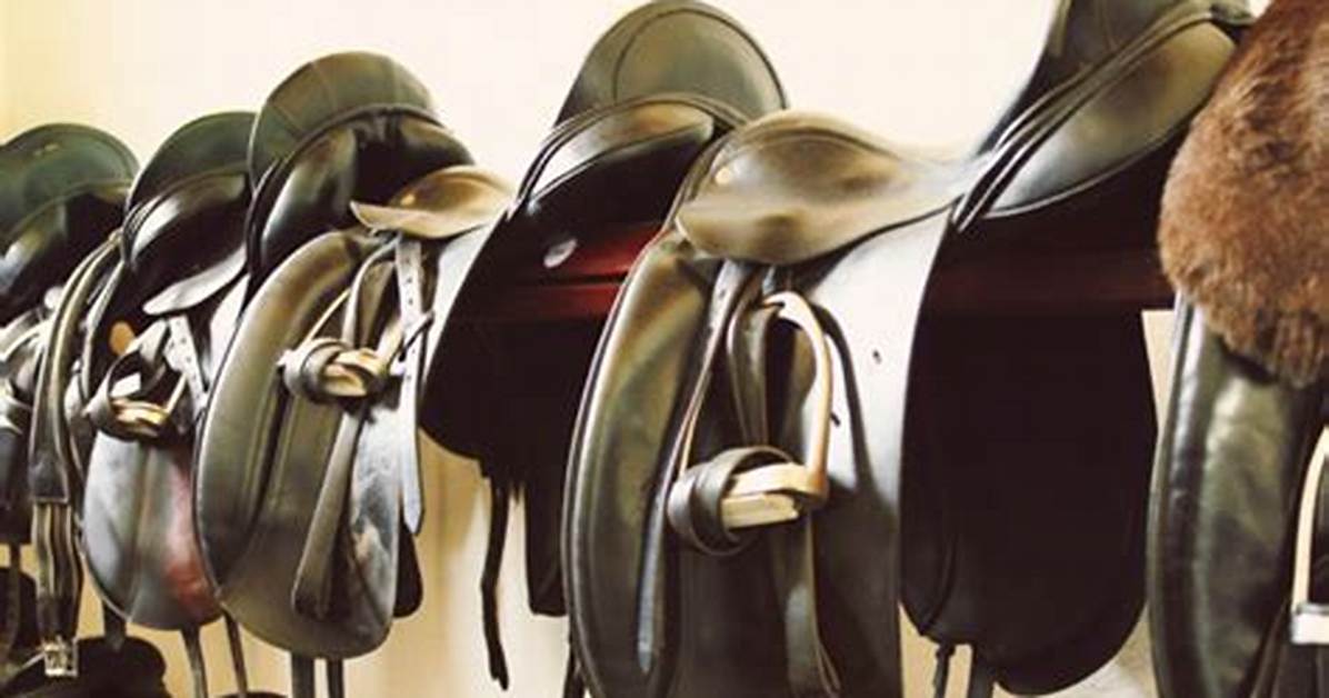 The Data Behind the Saddle Hartpury Motion Research Reveals Realities For