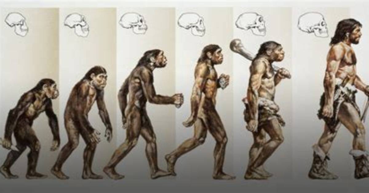 The Evolution of Body Image in China a Decade of Transformation from 2015 To