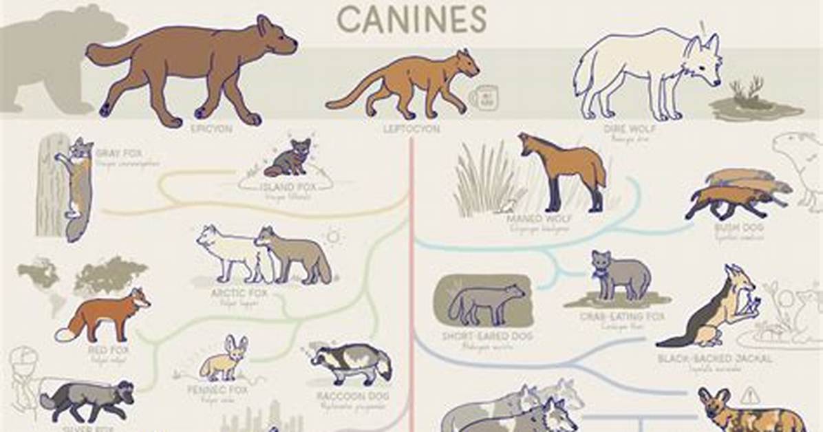 The Evolution of Canine Pop a Complete Timeline of Songs Dedicated To