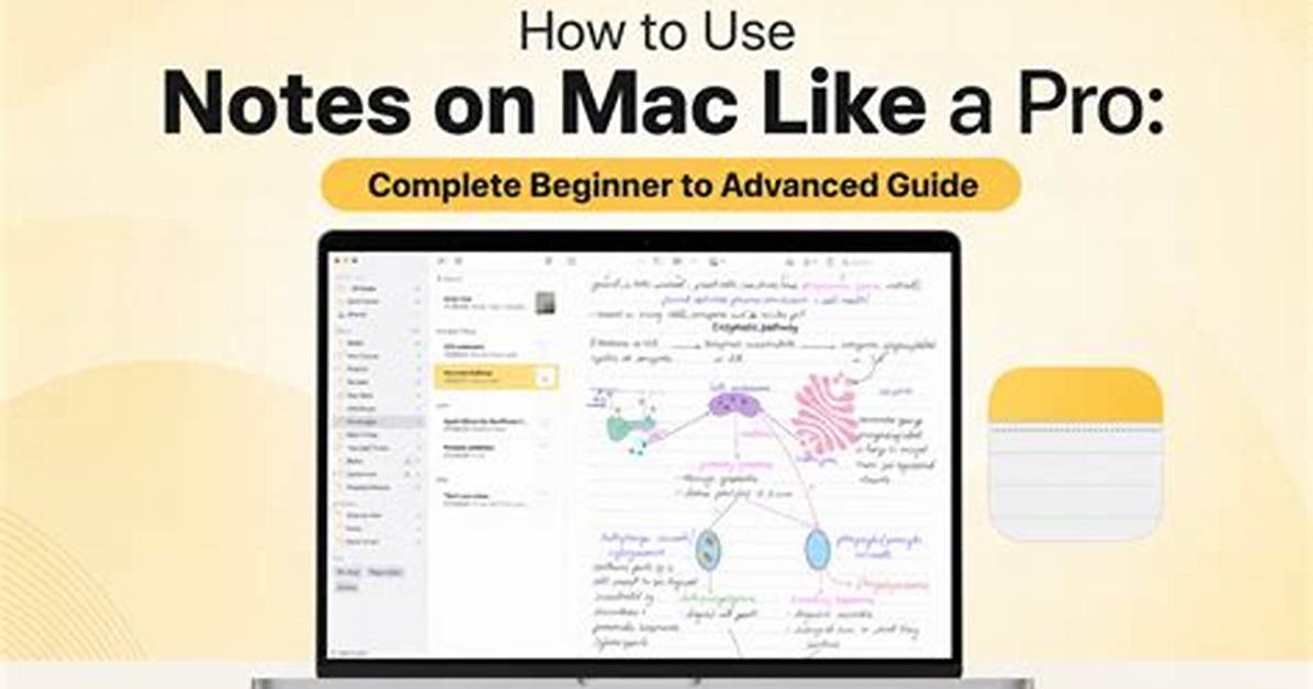 The Evolution of Notes on Mac from Classic Stickies To
