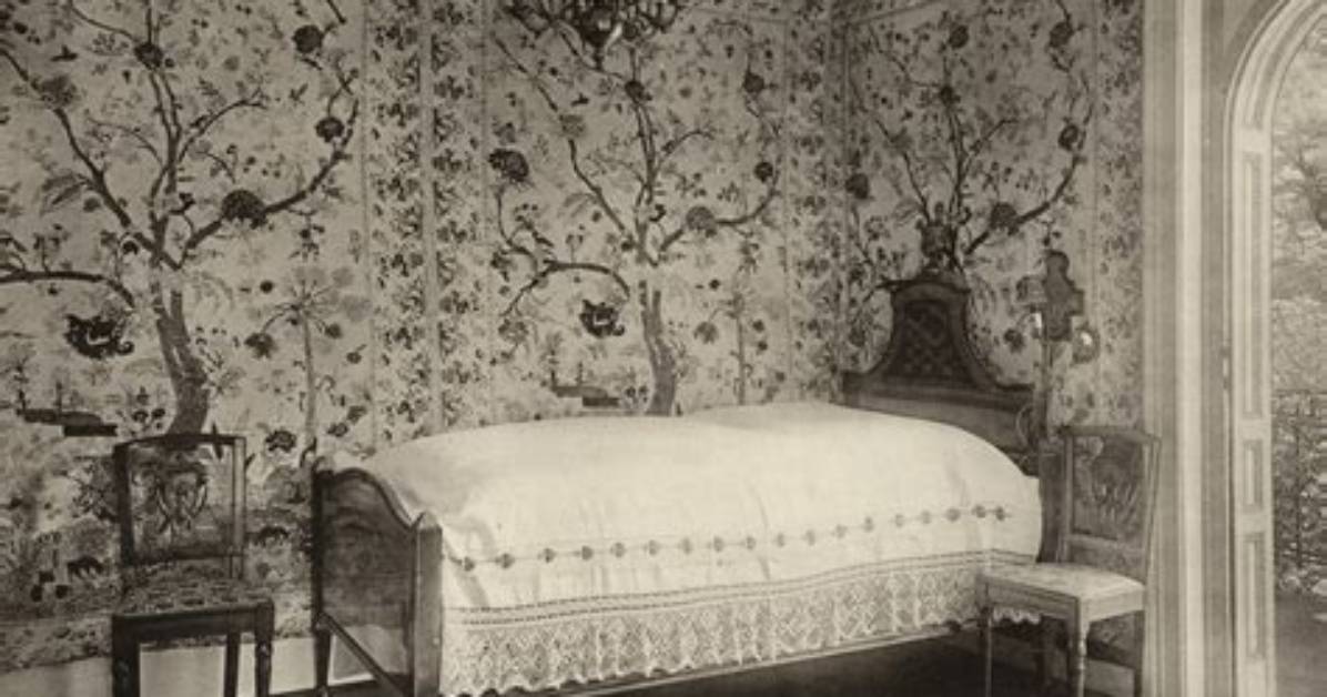 The Evolution of the Y N Sleeping Trend from Web Fiction to Fyp