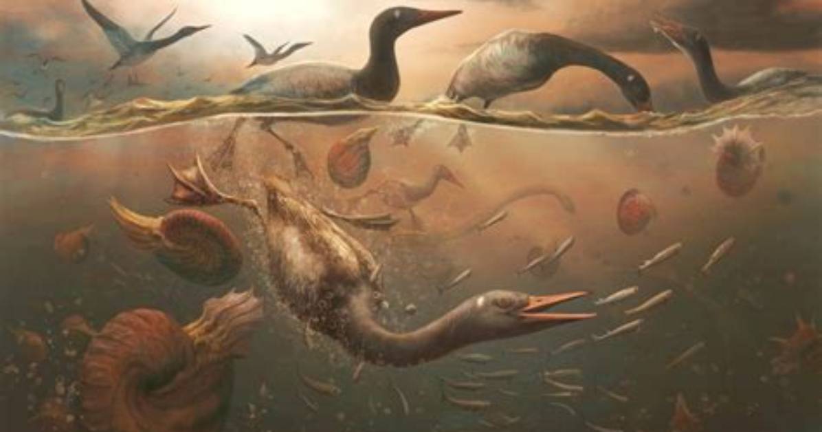 The Evolutionary Mystery Deepens Scientists Split on the Origin Of