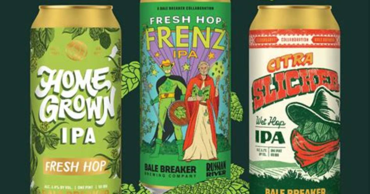The Fresh Hop Craze What Every Beer Enthusiast Needs to Know