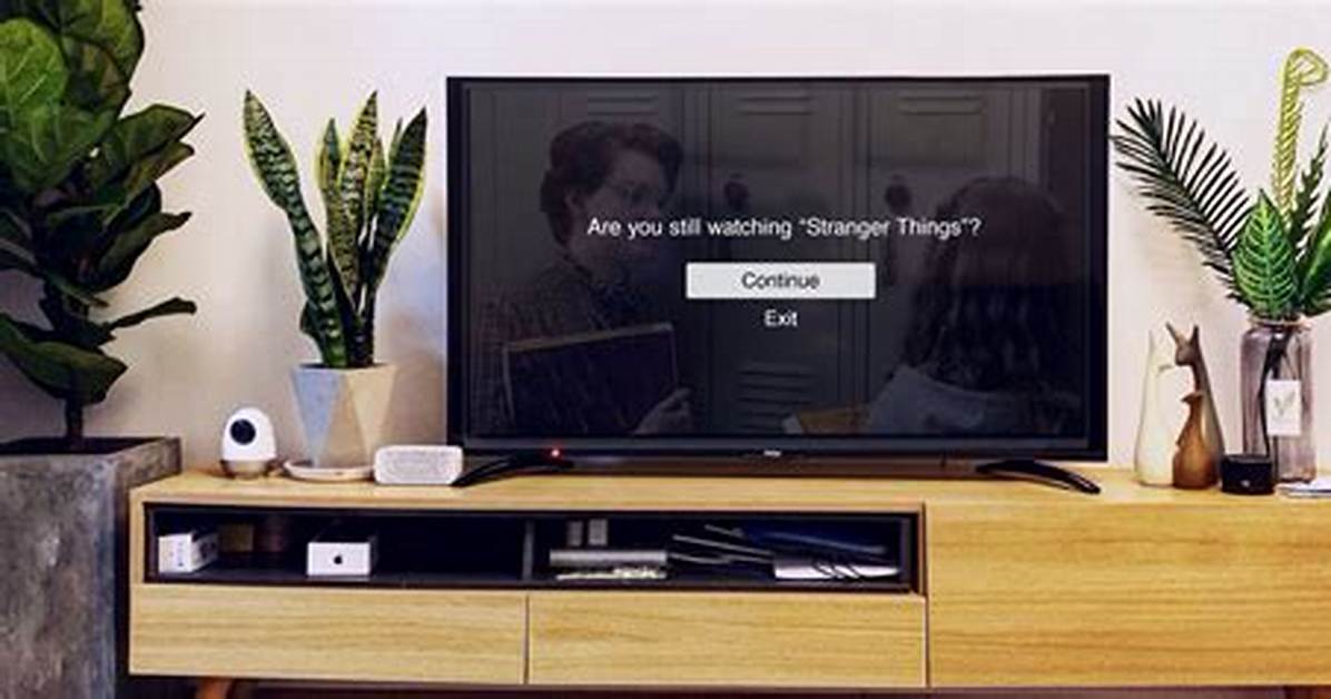 The Funniest Are You Still Watching Netflix Memes Ever Created Visual Proof Of