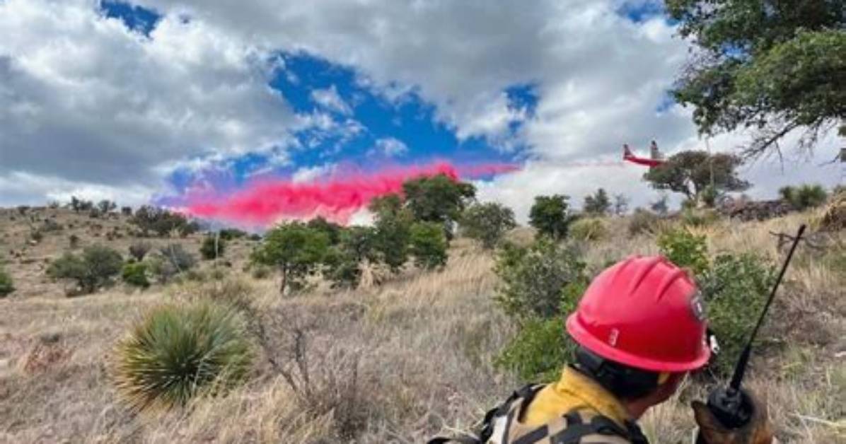 The Latest Viral Surge of Grand Canyon Jokes Taking over Social
