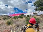The Latest Viral Surge of Grand Canyon Jokes Taking over Social Media Feeds