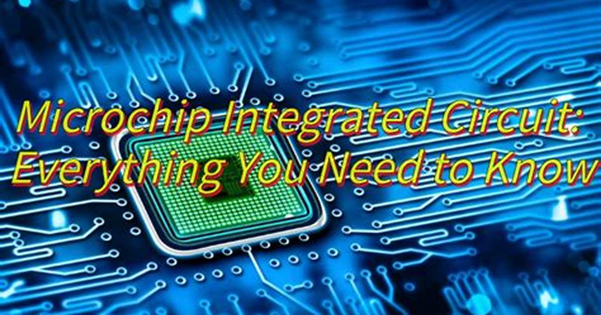 The Microchip Era Explained Everything You Need to Know About Silicon S New