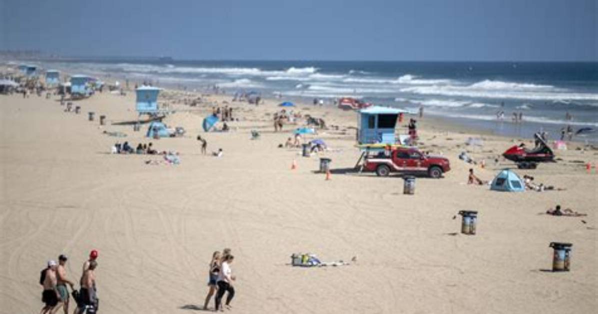 The Orange Beach Official Arrests Verified Allegations Names and City