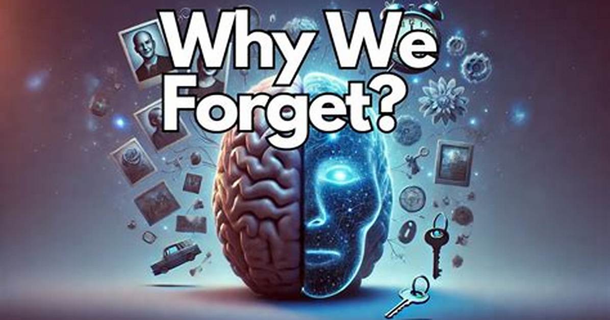 The Science of Forgetting Why Our