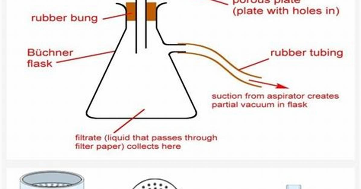 The Science of Suction