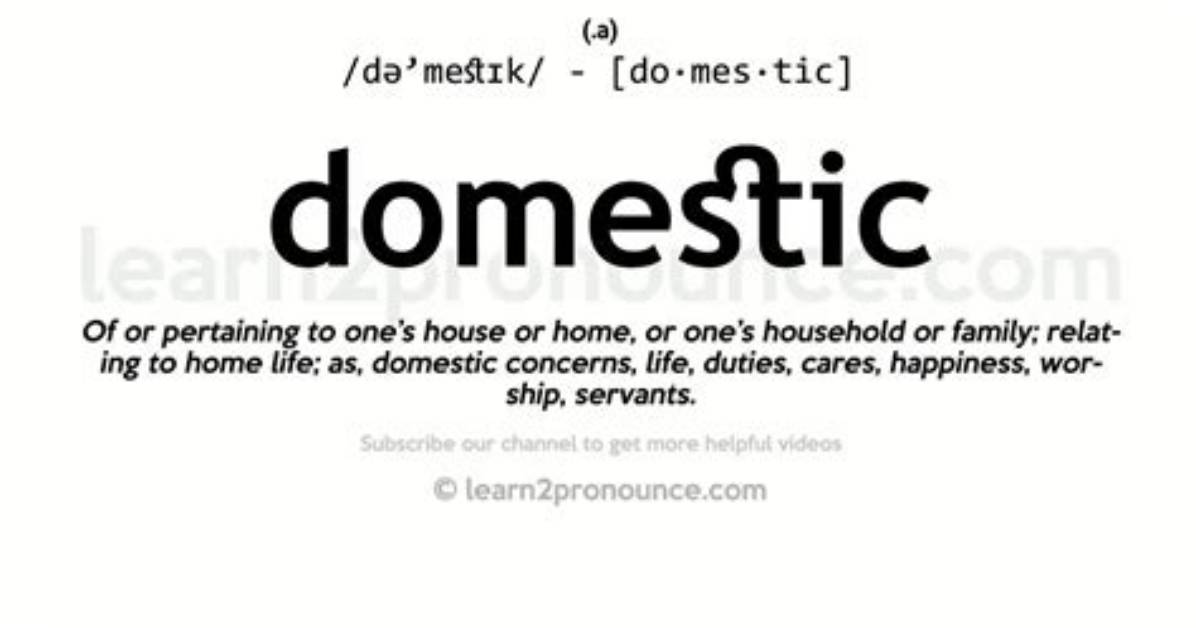 The Ultimate Explainer What Does Domestic Mean in Every