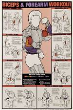 The Ultimate Forearm and Bicep Guide: How to Curl for Complete Arm Size