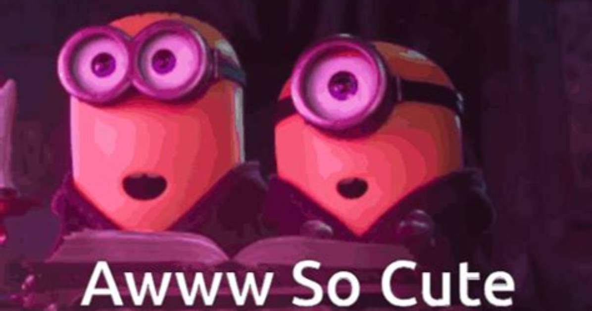 The Ultimate Guide to Aww So Cute Content Top Subreddits Creators and Feel Good Feeds To
