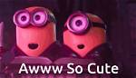 The Ultimate Guide to 'Aww So Cute' Content: Top Subreddits, Creators, and Feel-Good Feeds to Follow