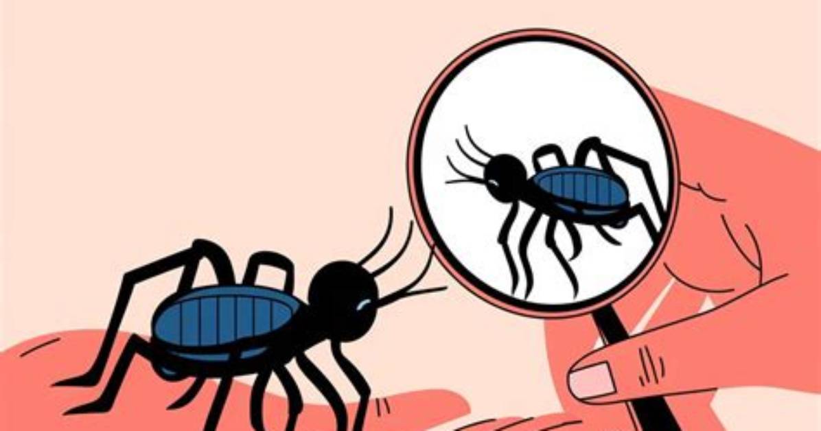 Tick Symbolism Decoded Dream Meanings Totem Lore And