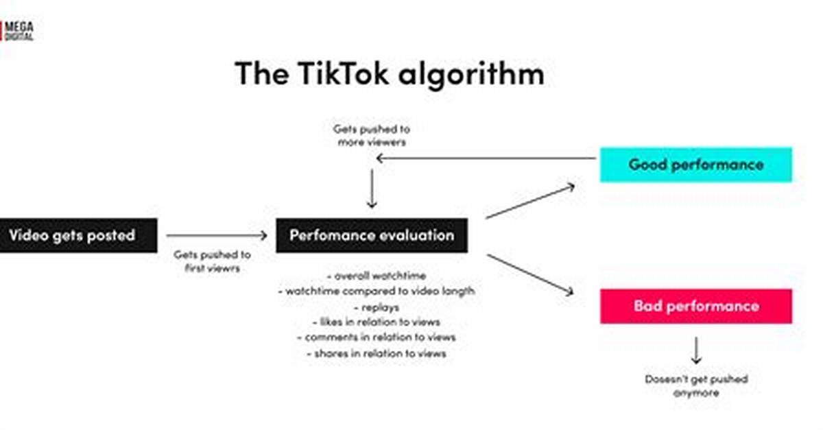 Tiktok Search Algorithm 2026 Why Certain