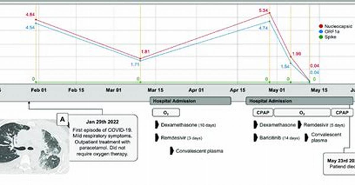 Timeline of a Viral Spike How Five Words Captured the Internet S