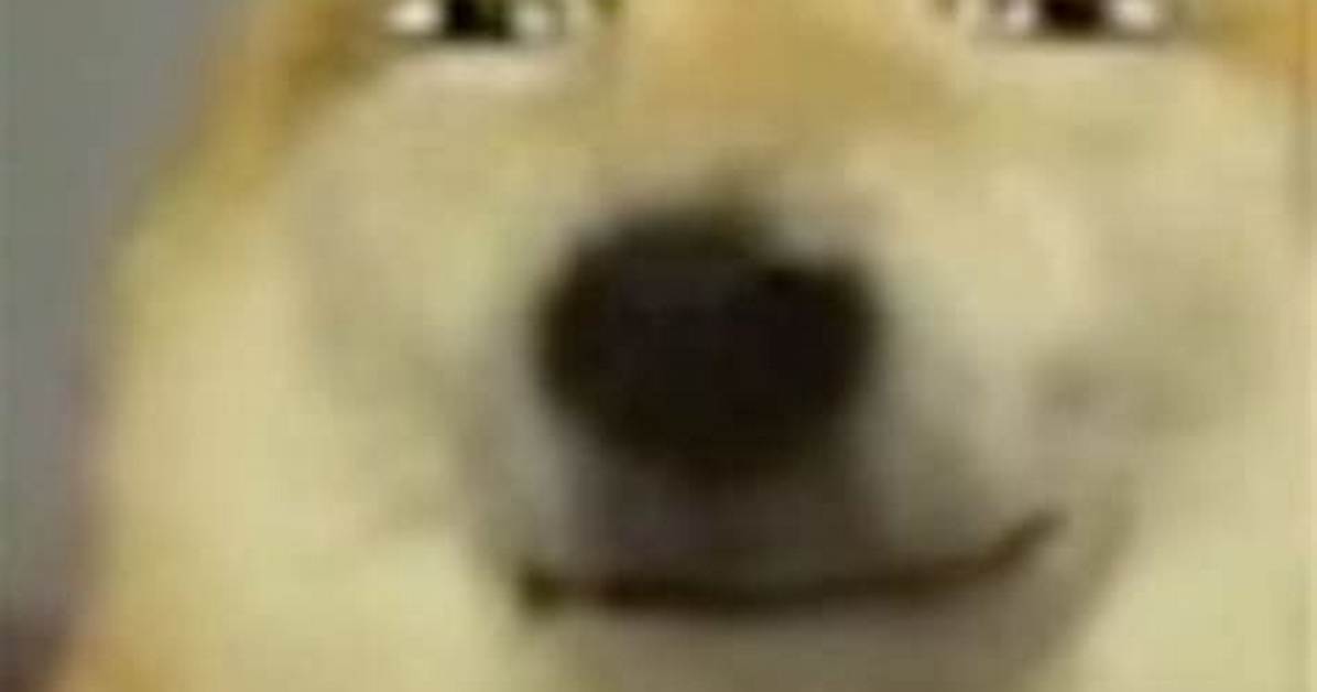 Timeline of the Smirking Dog Meme How Kabosu and Viral Canines Shaped