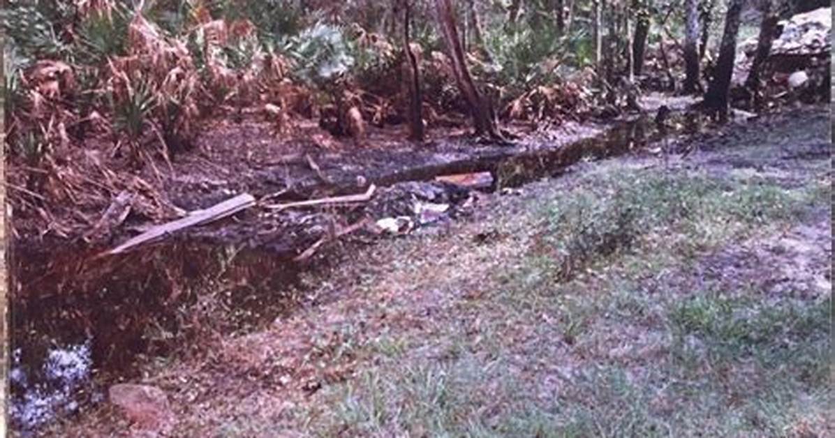 Tracing John Welles in Arcadia Florida a Chronological